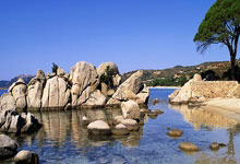 库伊特：若能处子赛季率利物浦夺冠，斯洛特的成就人们永远不会忘.